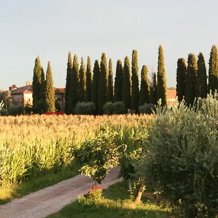 Ca Donzella Λατζίζε