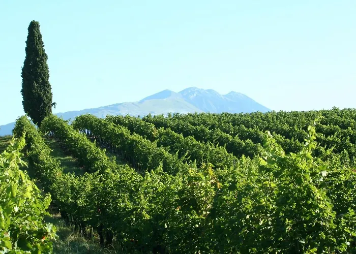 فندق مبيت وإفطار Ca Donzella