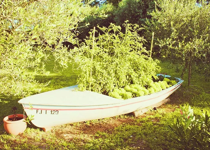 Ca Donzella فندق مبيت وإفطار لاتيزي