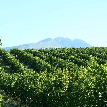 ベッド・アンド・ブレックファスト Ca Donzella